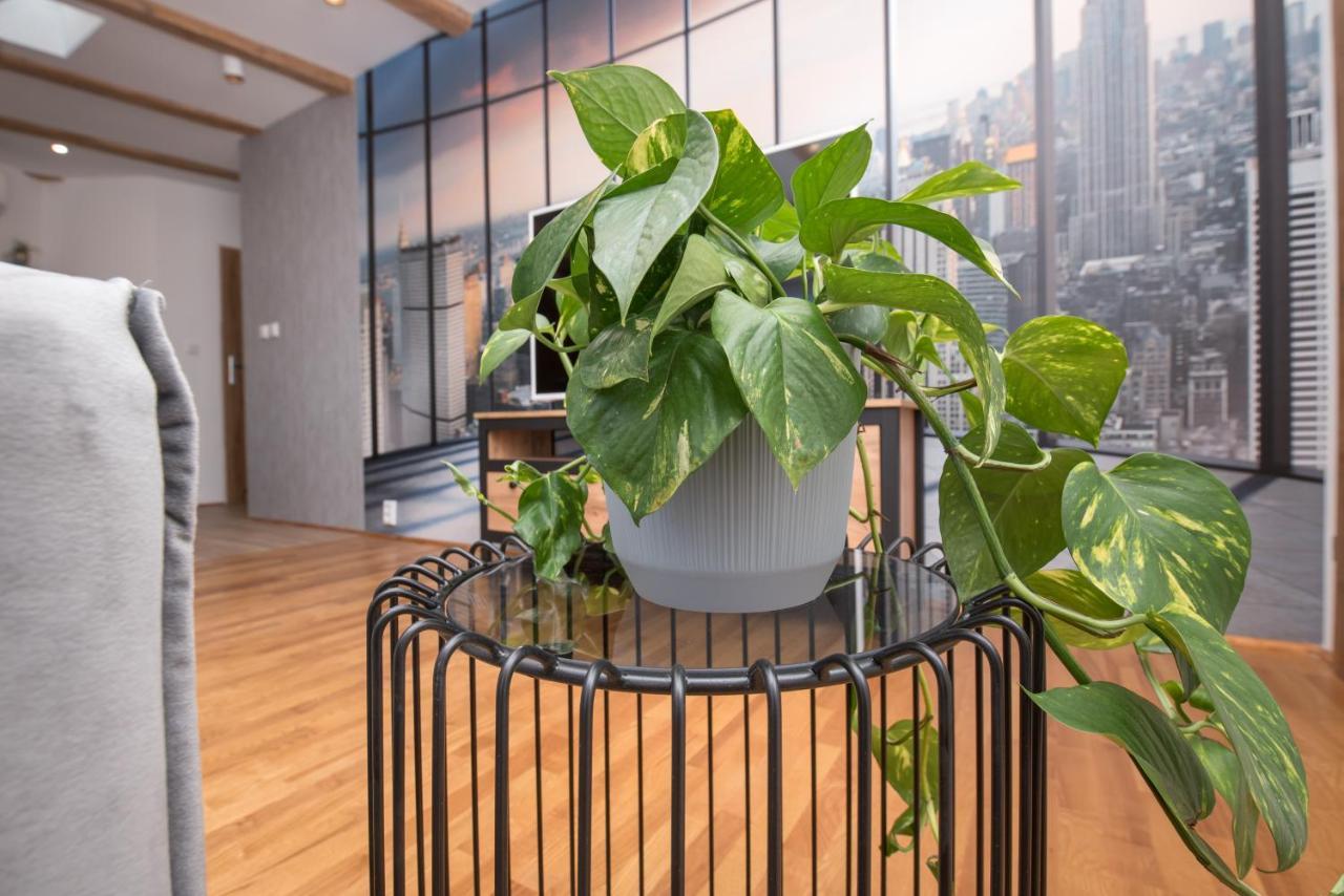 Apartament Mikolowska 2 Hlivice Exteriér fotografie